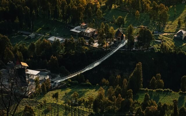 Malowniczy widok z lotu ptaka na bujny krajobraz