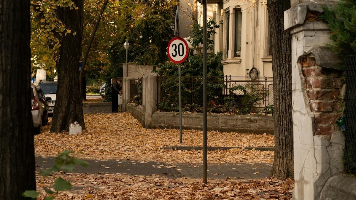 Opadłe liście na ulicy i chodniku