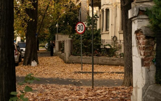 Opadłe liście na ulicy i chodniku