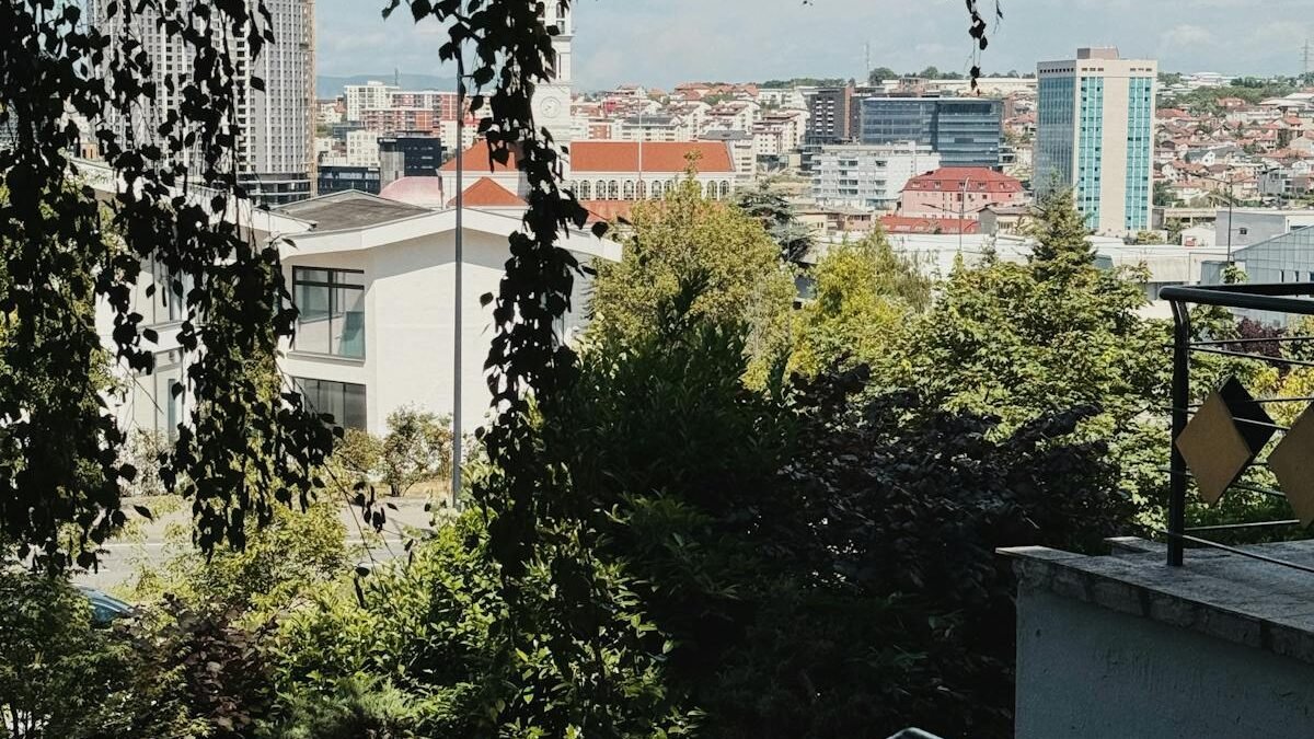 Widok na miasto z parku