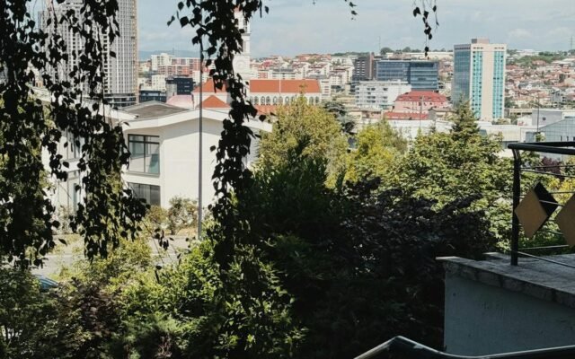 Widok na miasto z parku